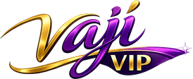 vaji vip logo